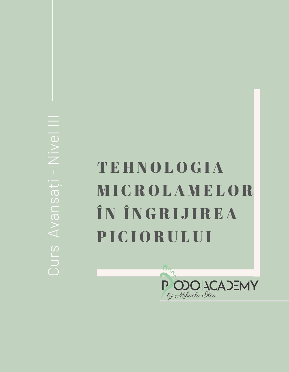 Cursul TEHNOLOGIA MICROLAMELOR “SAFE” IN INGRIJIREA PICIORULUI - Nivel III
