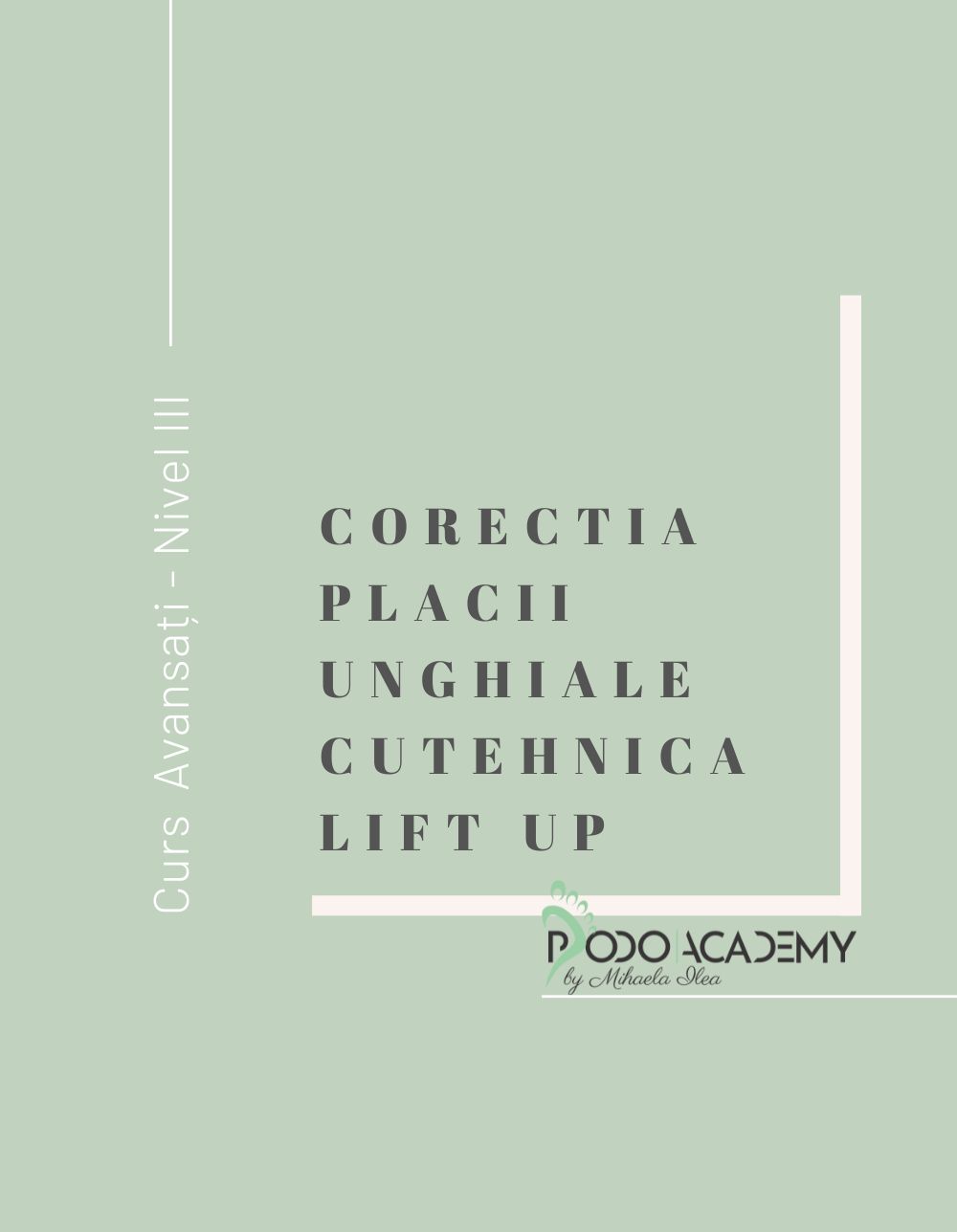 Cursul CORECTAREA PLACII UNGHIALE CU TEHNICA LIFT UP - Nivel II